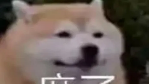 “贝宁能否在这场对抗中一箭封喉，助刚果民共和迈向胜利曙光？”